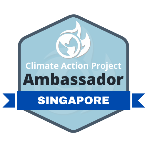 climate action project singapore